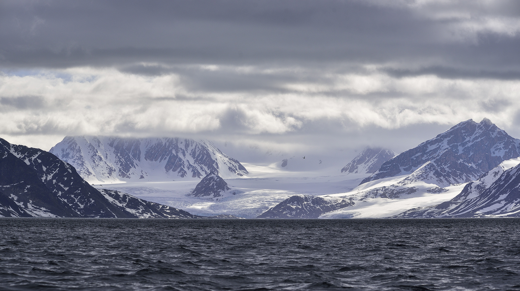 2016 12 MarionaAntisArtic